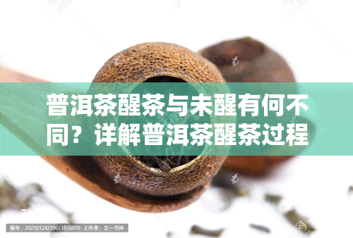 普洱茶醒茶与未醒有何不同？详解普洱茶醒茶过程