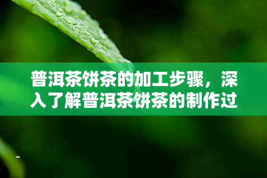 普洱茶饼茶的加工步骤，深入了解普洱茶饼茶的制作过程：从原料采摘到成品包装