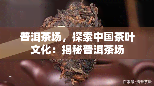 普洱茶场，探索中国茶叶文化：揭秘普洱茶场