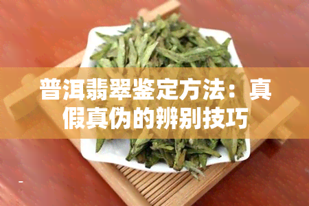 普洱翡翠鉴定方法：真假真伪的辨别技巧