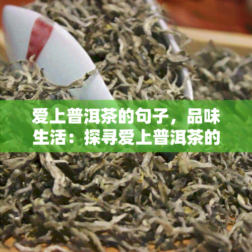 爱上普洱茶的句子，品味生活：探寻爱上普洱茶的原因