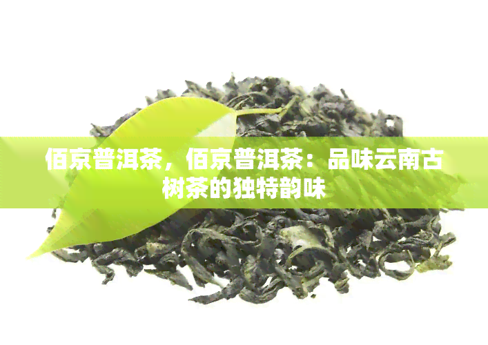 佰京普洱茶，佰京普洱茶：品味云南古树茶的独特韵味