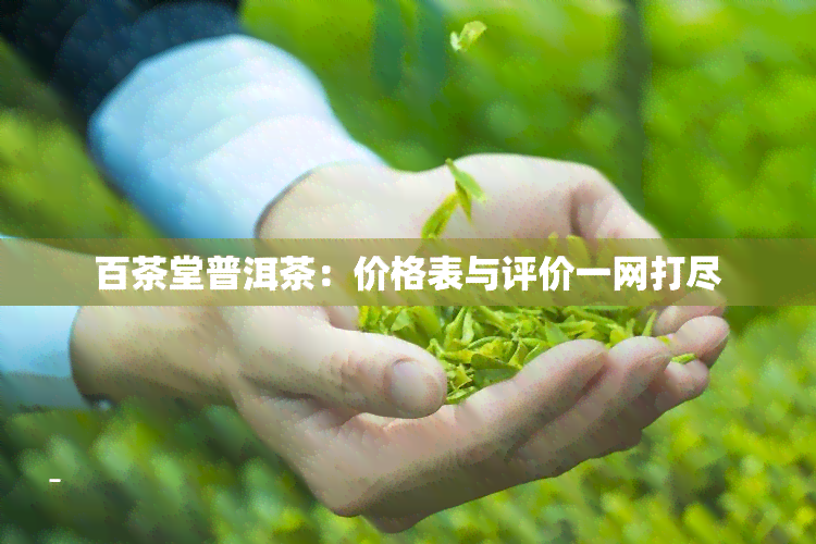 百茶堂普洱茶：价格表与评价一网打尽