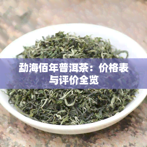 勐海佰年普洱茶：价格表与评价全览