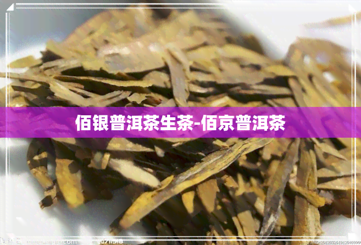 佰银普洱茶生茶-佰京普洱茶