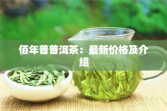 佰年普普洱茶：最新价格及介绍