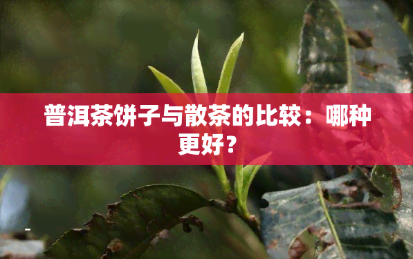 普洱茶饼子与散茶的比较：哪种更好？