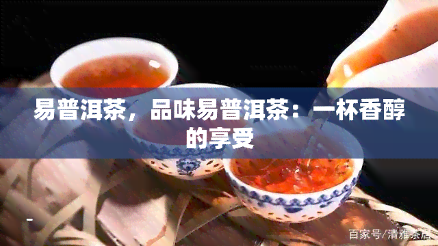 易普洱茶，品味易普洱茶：一杯香醇的享受