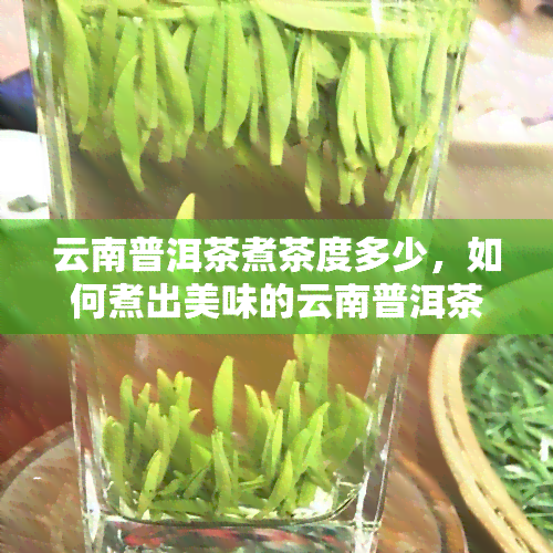 云南普洱茶煮茶度多少，如何煮出美味的云南普洱茶？- 度解析