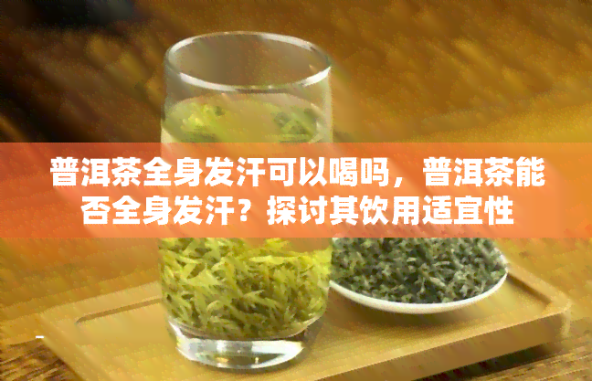 普洱茶全身发汗可以喝吗，普洱茶能否全身发汗？探讨其饮用适宜性