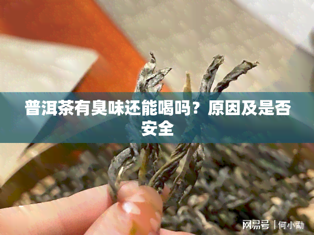 普洱茶有臭味还能喝吗？原因及是否安全