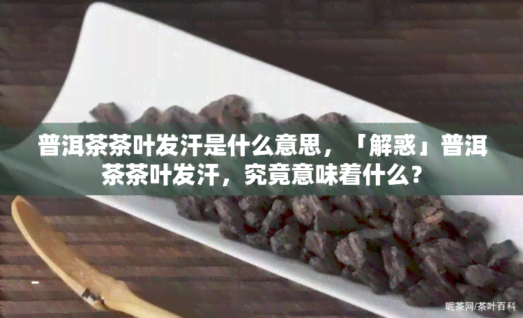 普洱茶茶叶发汗是什么意思，「解惑」普洱茶茶叶发汗，究竟意味着什么？