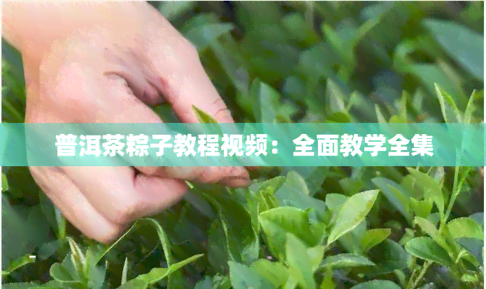 普洱茶粽子教程视频：全面教学全集