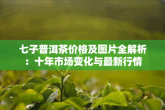 七子普洱茶价格及图片全解析：十年市场变化与最新行情