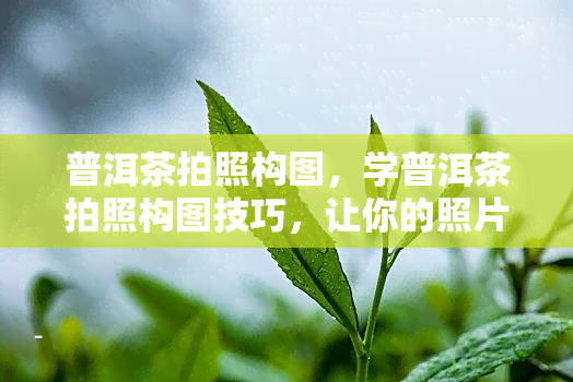 普洱茶拍照构图，学普洱茶拍照构图技巧，让你的照片更有艺术感！