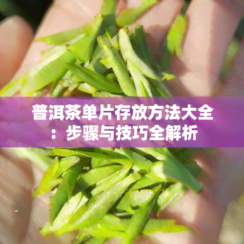 普洱茶单片存放方法大全：步骤与技巧全解析