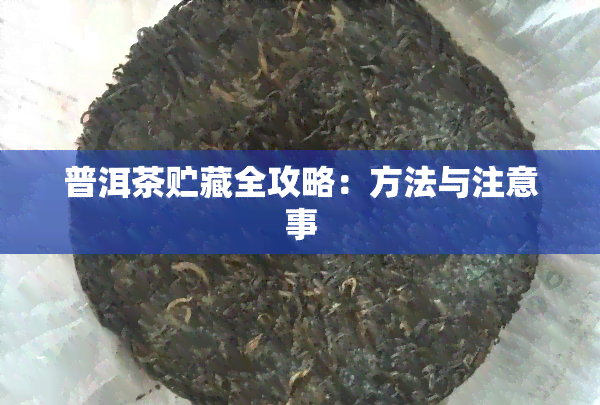 普洱茶贮藏全攻略：方法与注意事