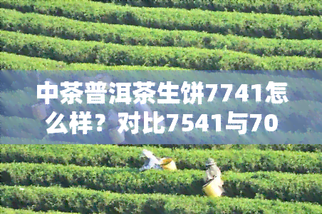 中茶普洱茶生饼7741怎么样？对比7541与7001，看哪款更值得购买！