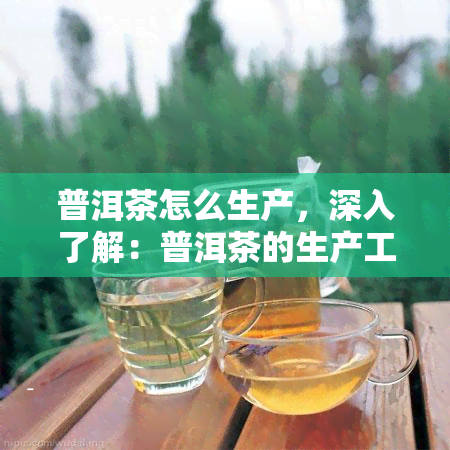 普洱茶怎么生产，深入了解：普洱茶的生产工艺与流程