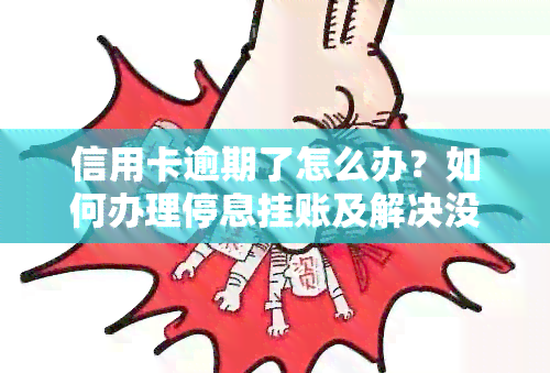 信用卡逾期了怎么办？如何办理停息挂账及解决没钱还的问题？