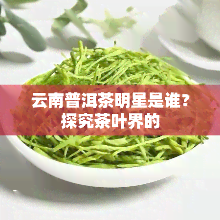 云南普洱茶明星是谁？探究茶叶界的