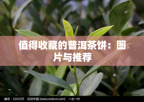 值得收藏的普洱茶饼：图片与推荐