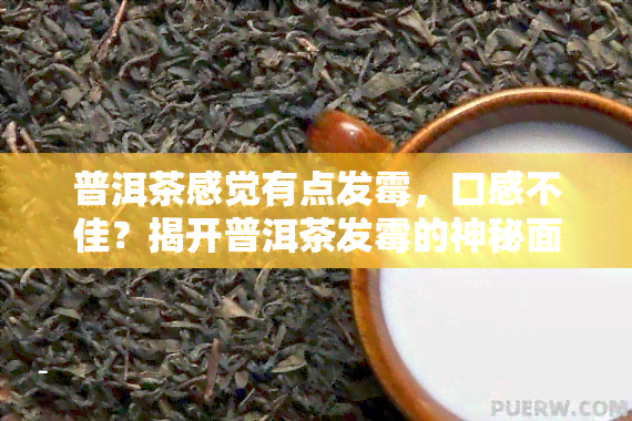 普洱茶感觉有点发霉，口感不佳？揭开普洱茶发霉的神秘面纱