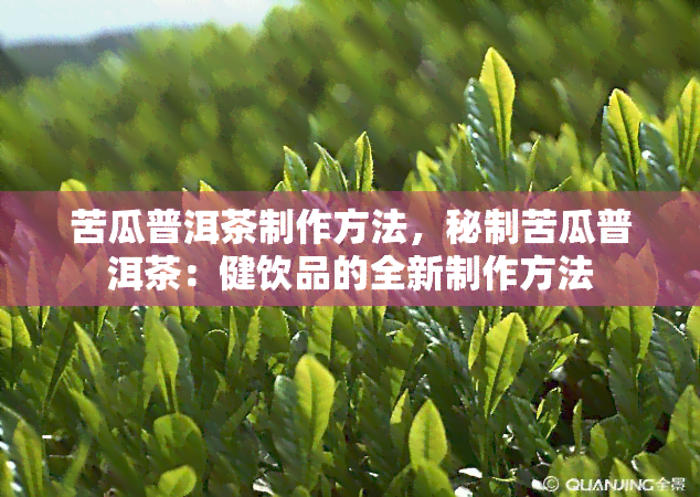 苦瓜普洱茶制作方法，秘制苦瓜普洱茶：健饮品的全新制作方法