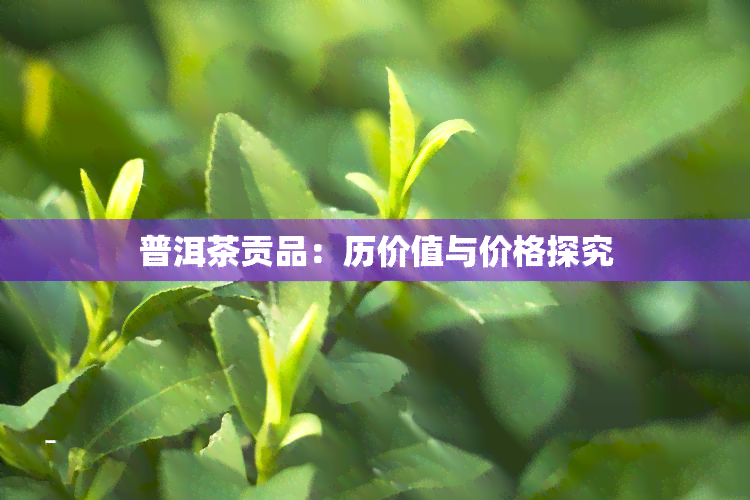 普洱茶贡品：历价值与价格探究