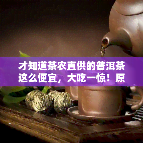 才知道茶农直供的普洱茶这么便宜，大吃一惊！原来茶农直供的普洱茶可以如此便宜！