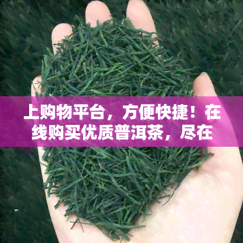 上购物平台，方便快捷！在线购买优质普洱茶，尽在上购物平台