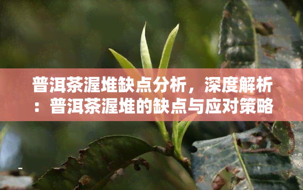 普洱茶渥堆缺点分析，深度解析：普洱茶渥堆的缺点与应对策略