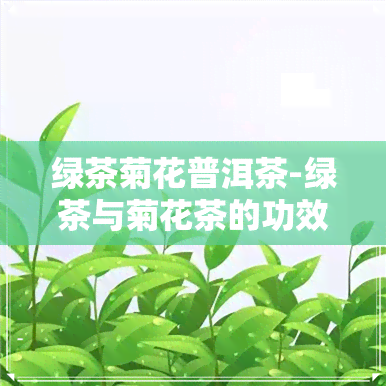 绿茶菊花普洱茶-绿茶与菊花茶的功效与作用