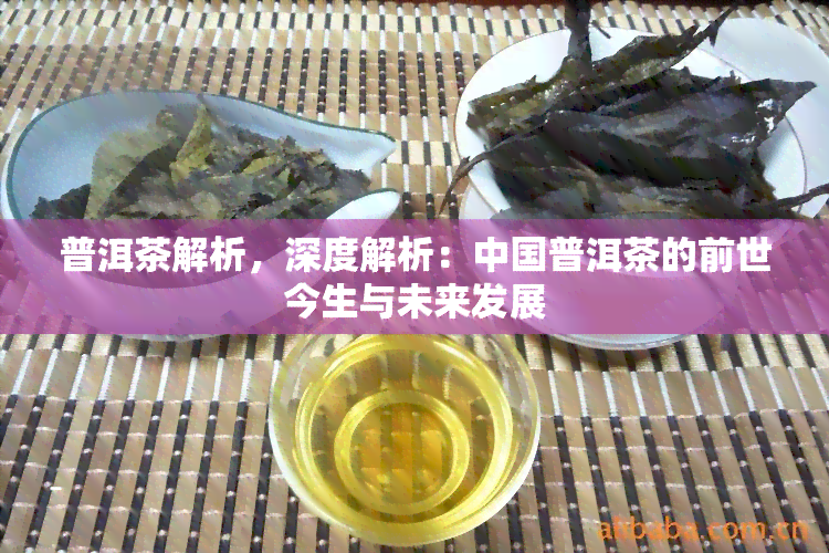 普洱茶解析，深度解析：中国普洱茶的前世今生与未来发展