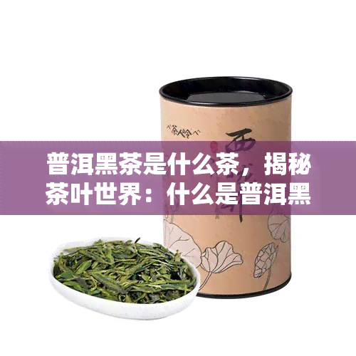 普洱黑茶是什么茶，揭秘茶叶世界：什么是普洱黑茶？