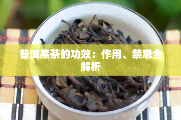 普洱黑茶的功效：作用、禁忌全解析