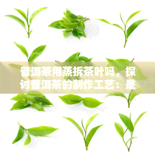 普洱茶用蒸拆茶叶吗，探讨普洱茶的制作工艺：是否需要蒸软茶叶？