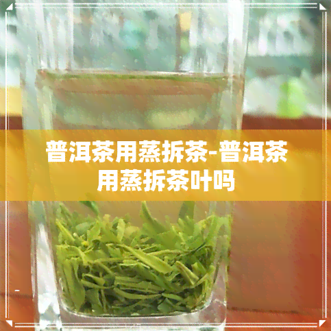 普洱茶用蒸拆茶-普洱茶用蒸拆茶叶吗