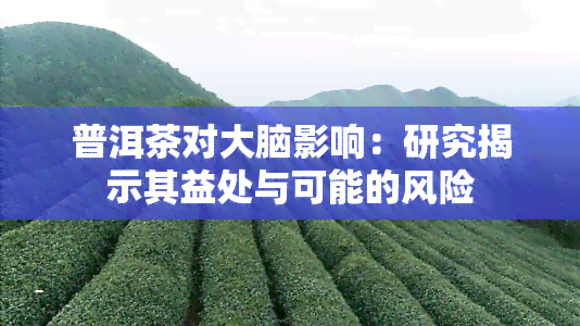 普洱茶对大脑影响：研究揭示其益处与可能的风险