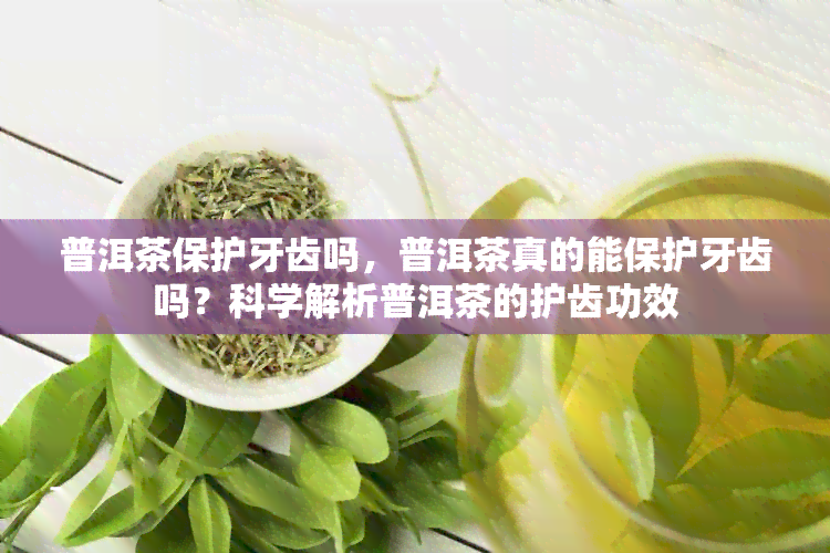 普洱茶保护牙齿吗，普洱茶真的能保护牙齿吗？科学解析普洱茶的护齿功效