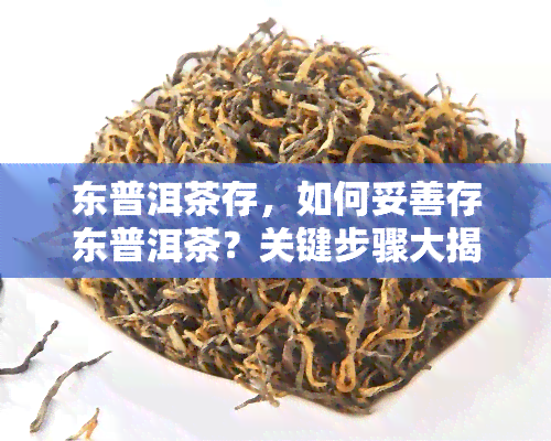 东普洱茶存，如何妥善存东普洱茶？关键步骤大揭秘！