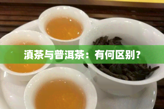 滇茶与普洱茶：有何区别？