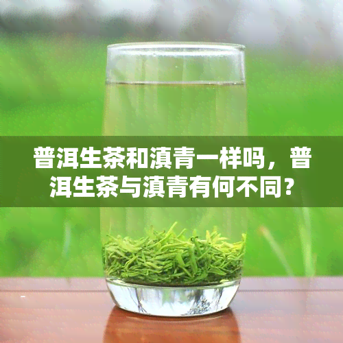 普洱生茶和滇青一样吗，普洱生茶与滇青有何不同？