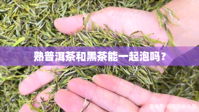 熟普洱茶和黑茶能一起泡吗？