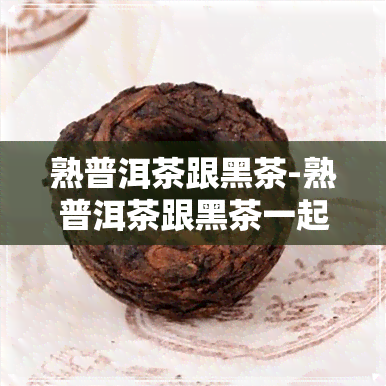 熟普洱茶跟黑茶-熟普洱茶跟黑茶一起泡吗