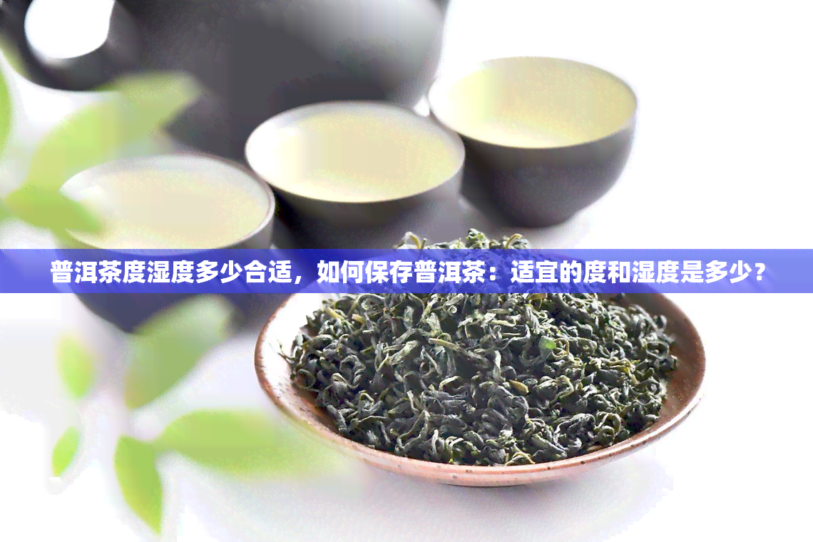 普洱茶度湿度多少合适，如何保存普洱茶：适宜的度和湿度是多少？