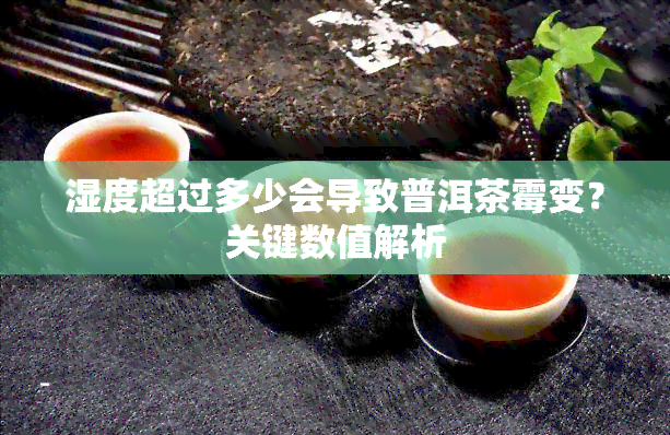 湿度超过多少会导致普洱茶霉变？关键数值解析