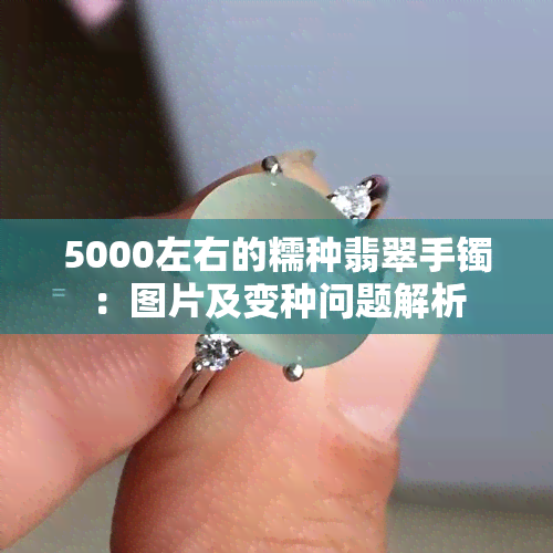 5000左右的糯种翡翠手镯：图片及变种问题解析