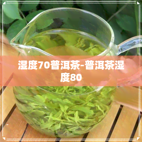 湿度70普洱茶-普洱茶湿度80