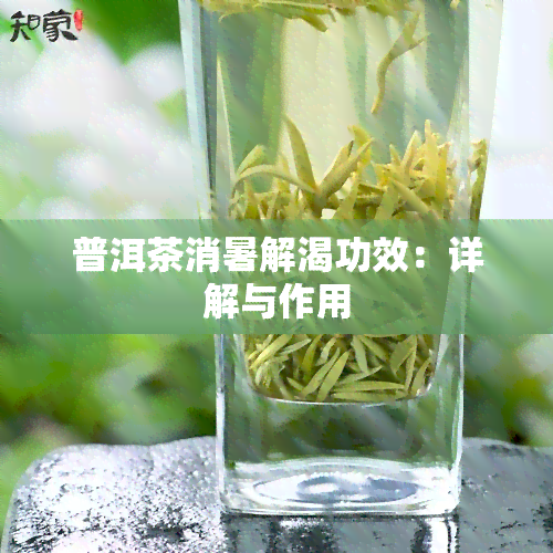 普洱茶消暑解渴功效：详解与作用